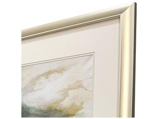 Paragon Natural Flow I Framed Art