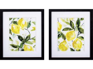 Paragon Farmhouse Lemony Branch Framed Art Set of 2
