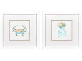 Paragon Sea Creatures II Framed Art - Set of 2