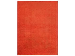 Pasargad Home Lahore Bordered Area Rug