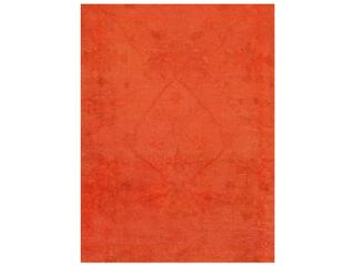 Pasargad Home Lahore Bordered Area Rug