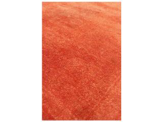 Pasargad Home Lahore Bordered Area Rug