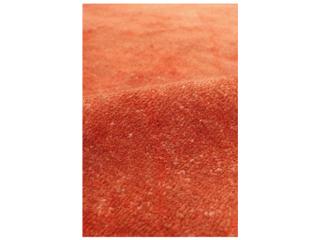 Pasargad Home Lahore Bordered Area Rug