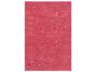 Pasargad Home Lahore Bordered Area Rug