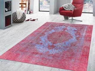 Pasargad Home Lahore Bordered Area Rug
