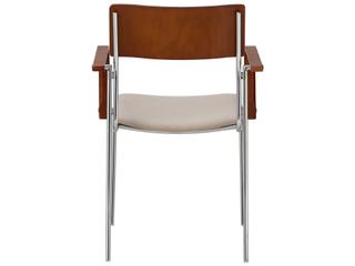 Pasargad Home Osaka Kyoto Plywood Beige Upholstered Arm Dining Chair Set of 2