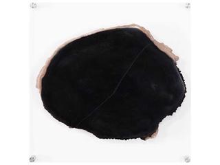 Phillips Collection Black / Beige Floating Petrified Slice Wall Art