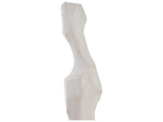 Phillips Collection Roman Stone Sculpture