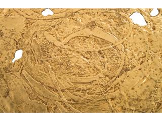 Phillips Collection Molten Metal Wall Art