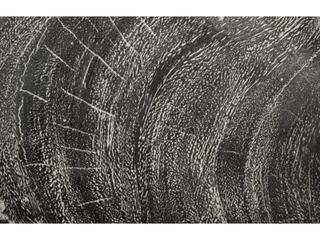 Phillips Collection Wood Wall Art