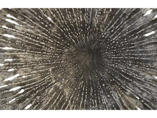 Phillips Collection Metal Wall Art