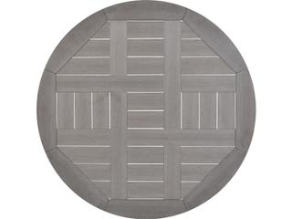 Watermark Living Sandoval Round PoliSoul Table Top