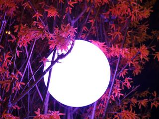 Smart & Green Original Pearl Bluetooth Outdoor LED Light