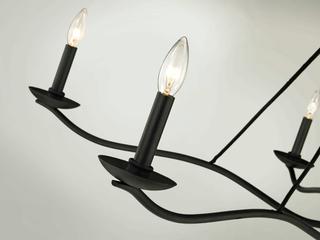 Troy Lighting Sawyer 5-Light Forged Iron Black Candelabra Chandelier