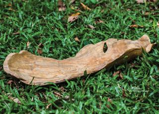 Uttermost Teak Leaf Bowl Sculpture