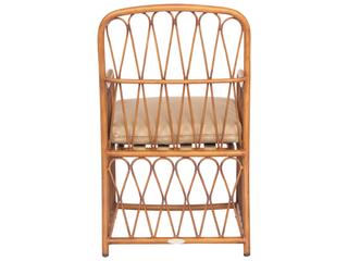 Woodard Cane Aluminum Cane Patio Dining Arm Chair