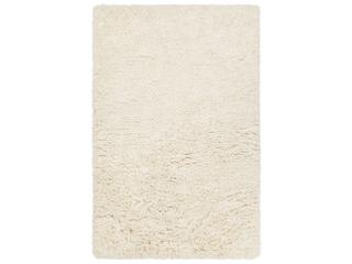 Chandra Noely Shag Area Rug