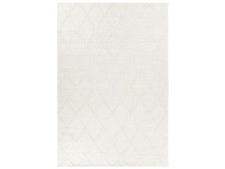 Chandra Sujan Moroccan Area Rug