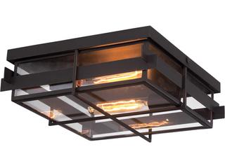 Eurofase Muller 2 - Light Outdoor Ceiling Light