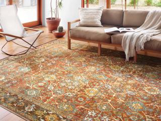 Loloi Rugs Sebastian Bordered Area Rug