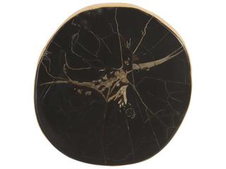 Phillips Collection Brown / Black Cast Petrified Wood Wall Tile