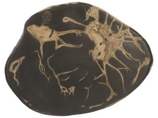 Phillips Collection Grey / Brown Cast Petrified Wood Wall Tile