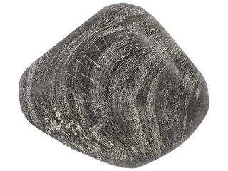 Phillips Collection Wood Wall Art