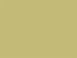 Fabric: Harvest Wheat