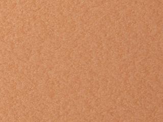 Waste Receptacle Finish: Cedar