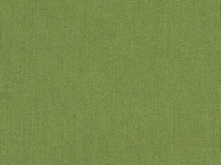Fabric: Sunbrella Spectrum Cilantro