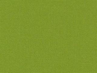 Fabric: Canvas Ginkgo
