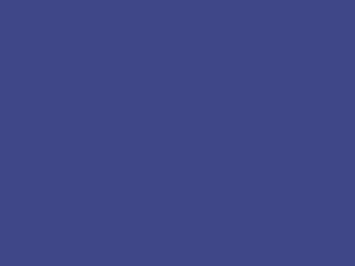 Fabric: Navy