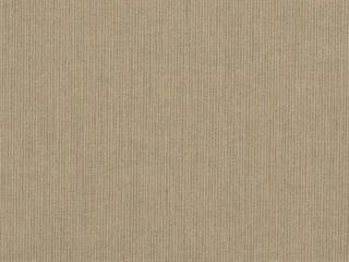 Fabric: Sunbrella Spectrum Mushroom