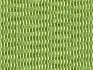 Fabric: Obravia Kiwi