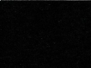 Fabric: Black Solution Dyed Poly