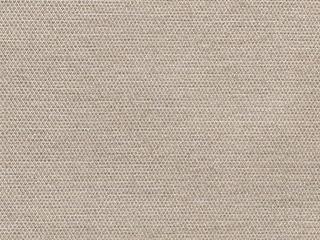 Fabric: Sunbrella Revive Sand
