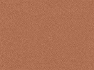 Fabric: Aztec Clay