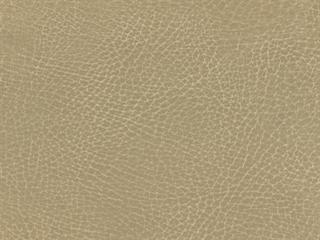 Fabric: Barro