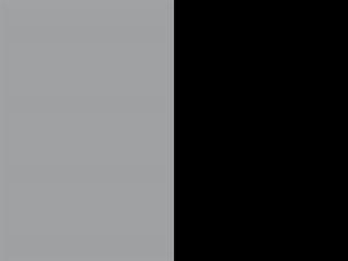 Color: Smoke Back