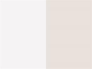 Color: Transparent White
