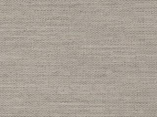 Fabric: Fog