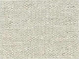 Fabric: Remy Cloud