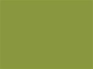 Fabric: Sunbrella Macaw / Olive