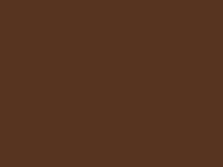Seating Frame Finish: Chestnut Brown