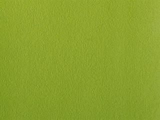 Fabric: Stamskin Lime