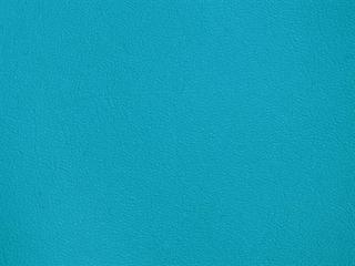 Fabric: Stamskin Blue