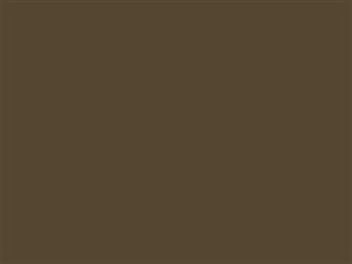 Finish: Bronze