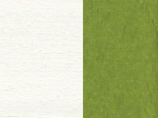 Polywood Finish: Lime / White Polywood