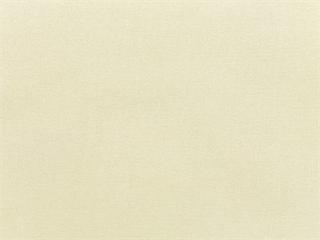 Fabric: Sunbrella Canvas Canvas