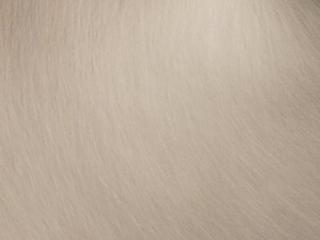 Finish: Brushed Nickel